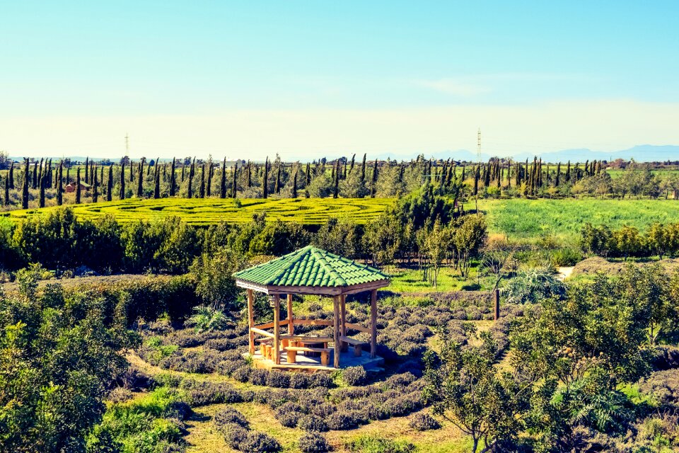 Botanical gardens and maze attraction kiosk