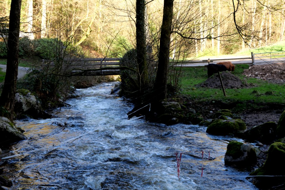Grobbach 2020-03-13 42