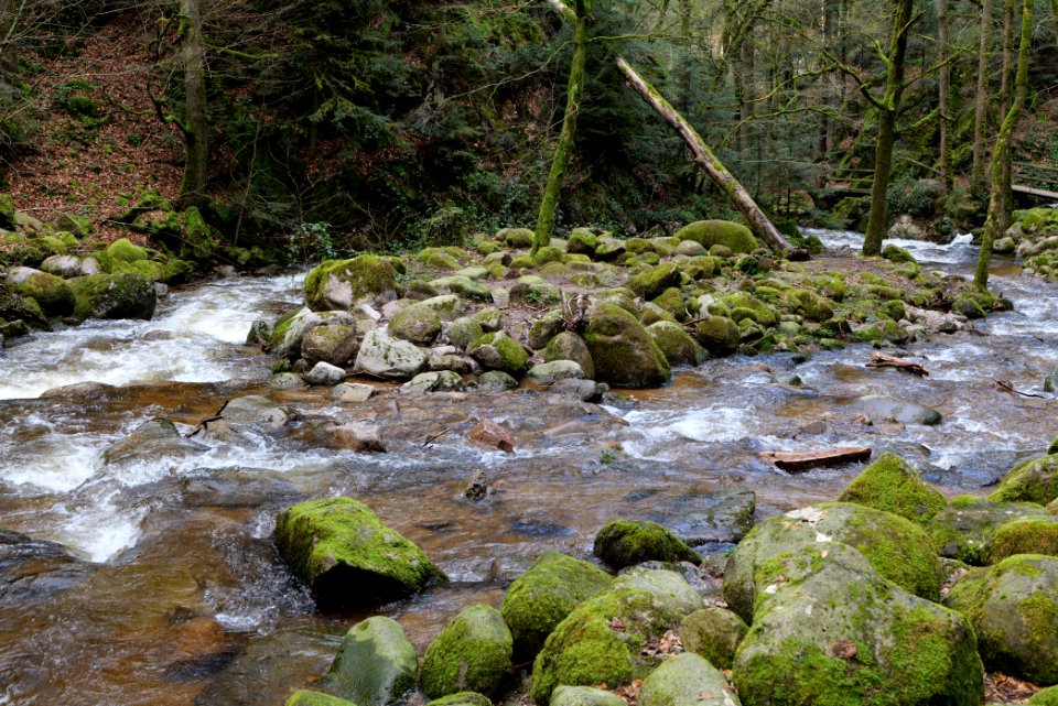 Grobbach 2020-03-13 64