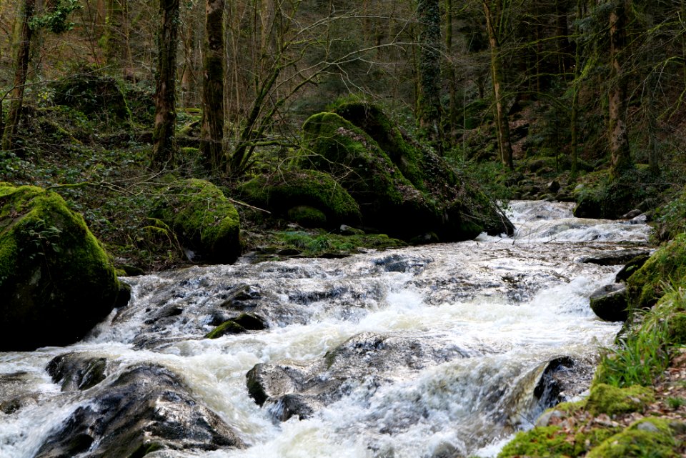Grobbach 2020-03-13 32