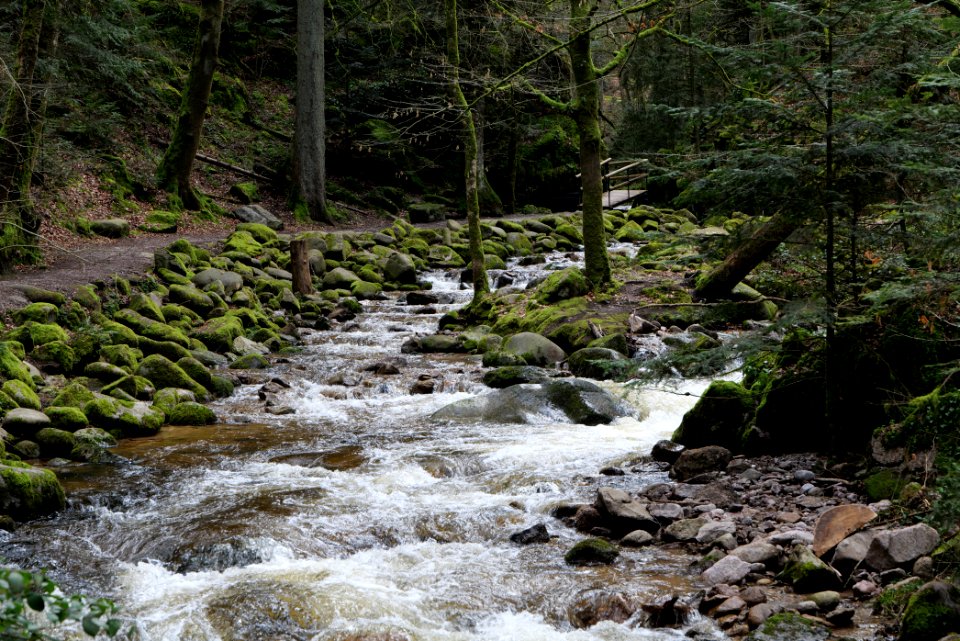 Grobbach 2020-03-13 67