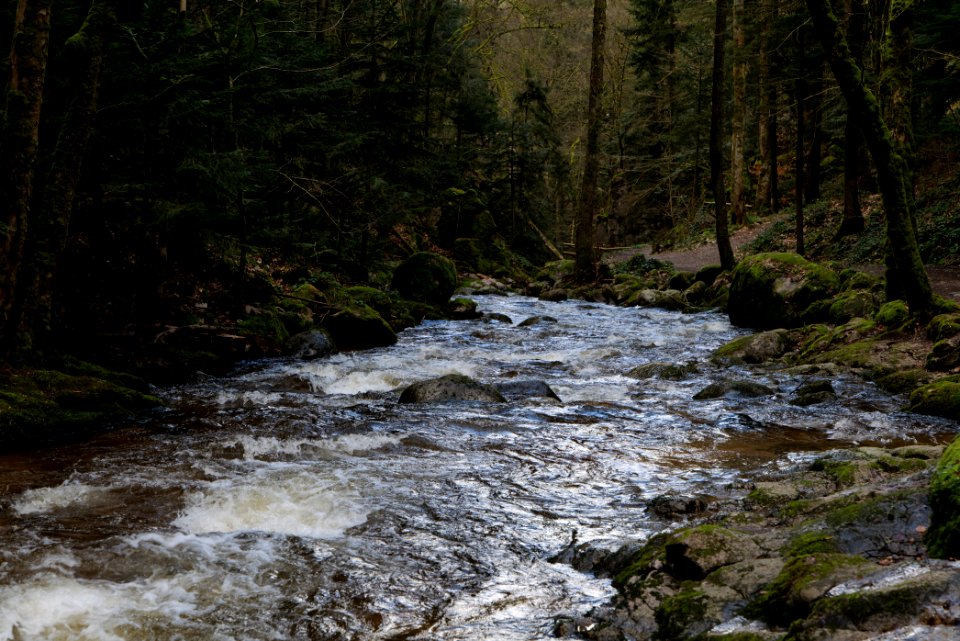Grobbach 2020-03-13 56