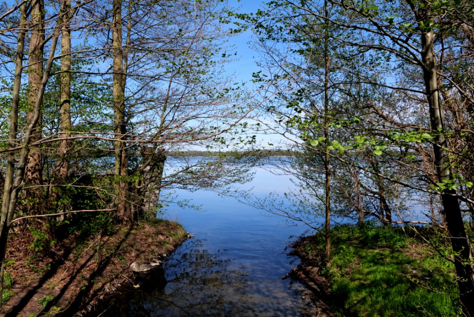 Großer Wünsdorfer See 2021-05-09 10