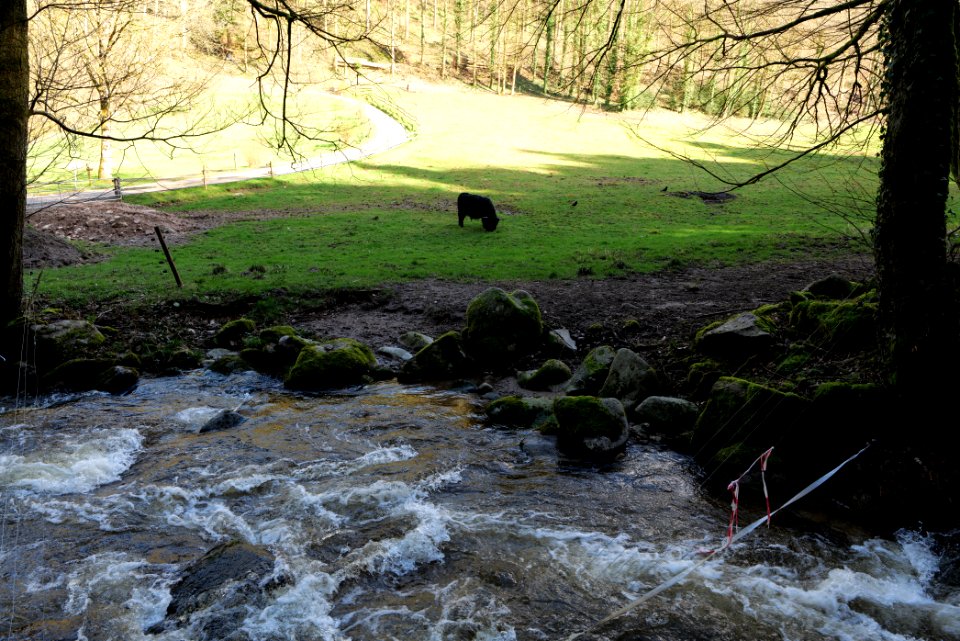 Grobbach 2020-03-13 43