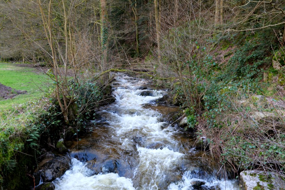Grobbach 2020-03-13 44