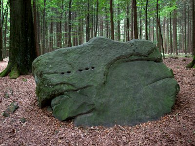 Großer Opferstein-Leistruper-Wald
