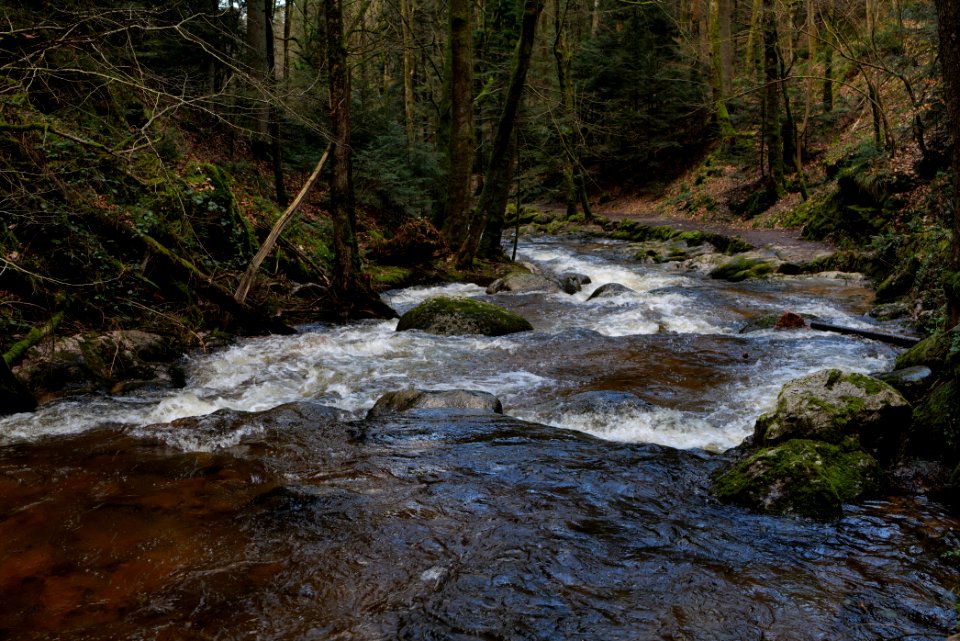 Grobbach 2020-03-13 53