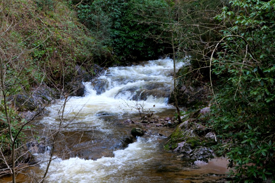 Grobbach 2020-03-13 47