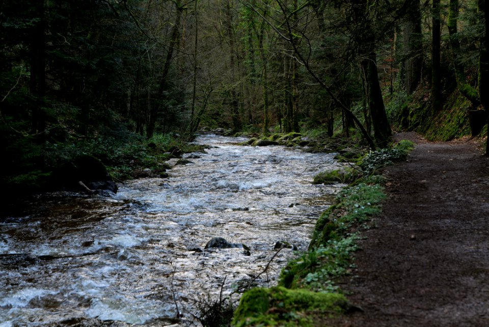Grobbach 2020-03-13 50