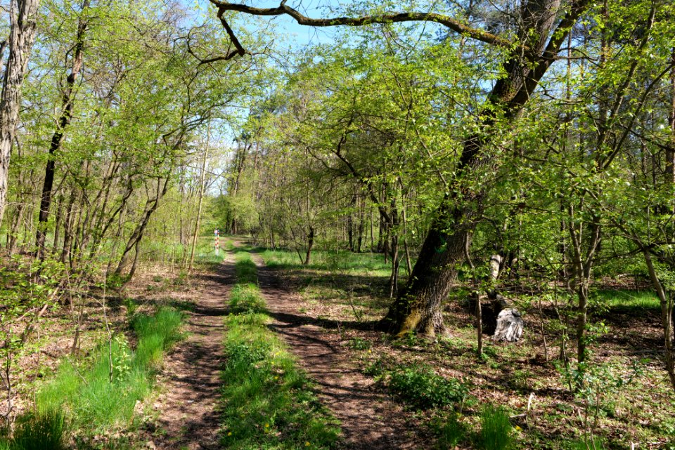 Großer und Kleiner Möggelinsee 2021-05-09 07