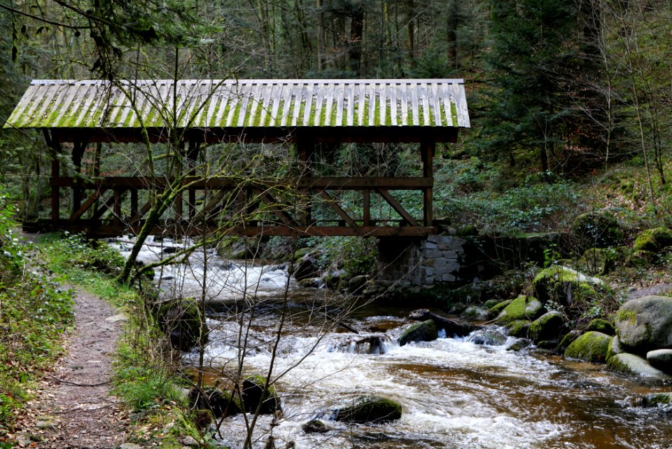 Grobbach 2020-03-13 76