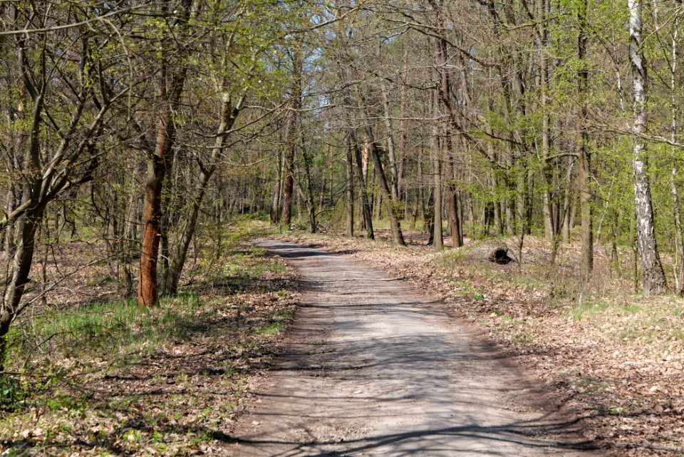 Großer und Kleiner Möggelinsee 2021-05-09 70
