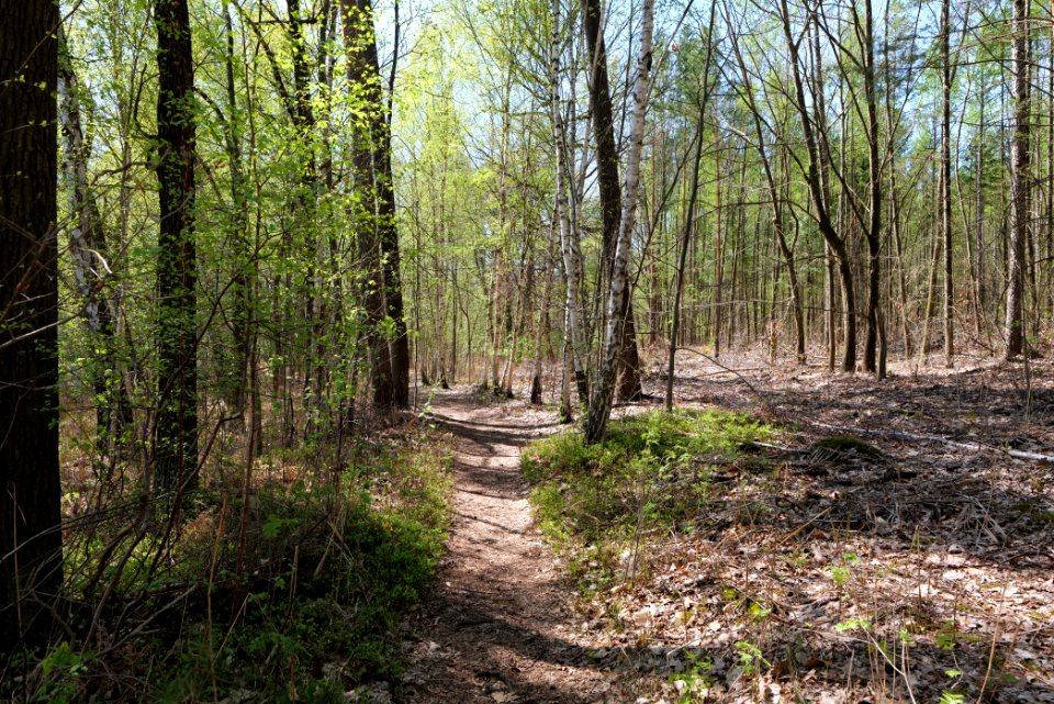 Großer und Westufer Kleiner Zeschsee 2021-05-09 03