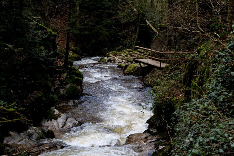 Grobbach 2020-03-13 60