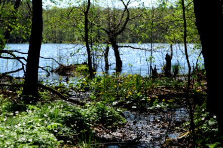 Großer und Westufer Kleiner Zeschsee 2021-05-09 26