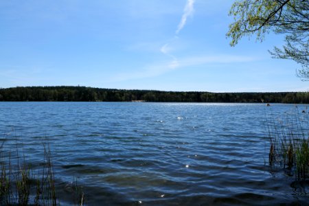 Großer Zeschsee 2021-05-09 04