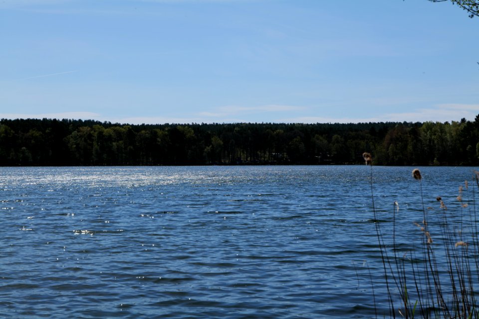 Großer Zeschsee 2021-05-09 06
