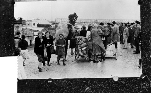 Guadalquivir buiten zijn oevers. Sevilla, Bestanddeelnr 913-3689