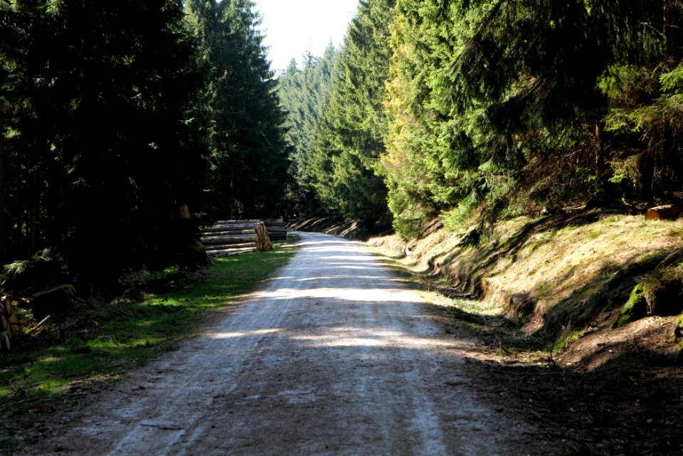Großer Feldberg 2020-03-23 24