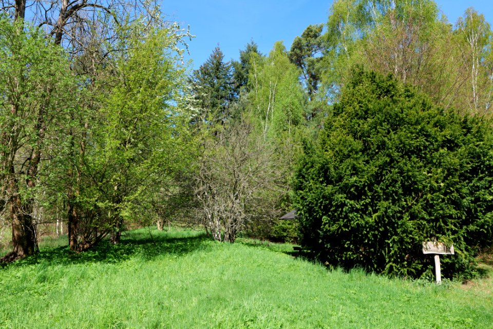 Großer und Westufer Kleiner Zeschsee 2021-05-09 41