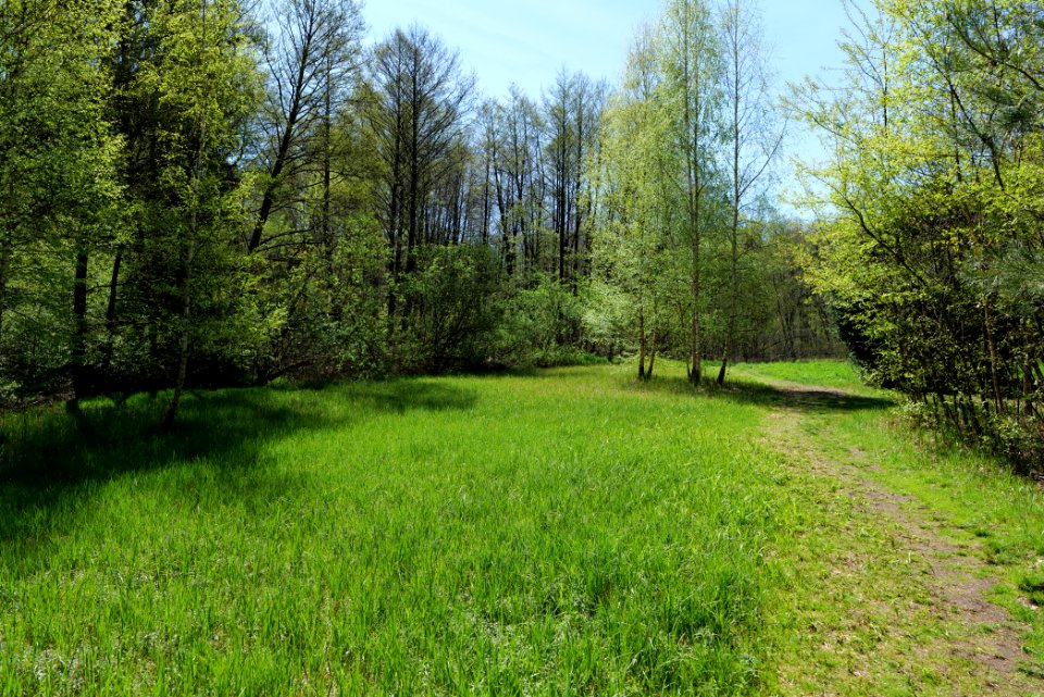 Großer und Westufer Kleiner Zeschsee 2021-05-09 37