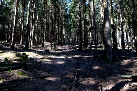 Großer Feldberg 2020-03-23 16