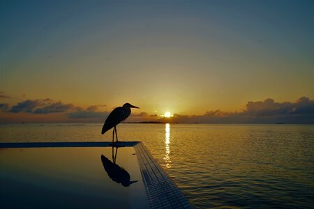 Maldives solar sunshine