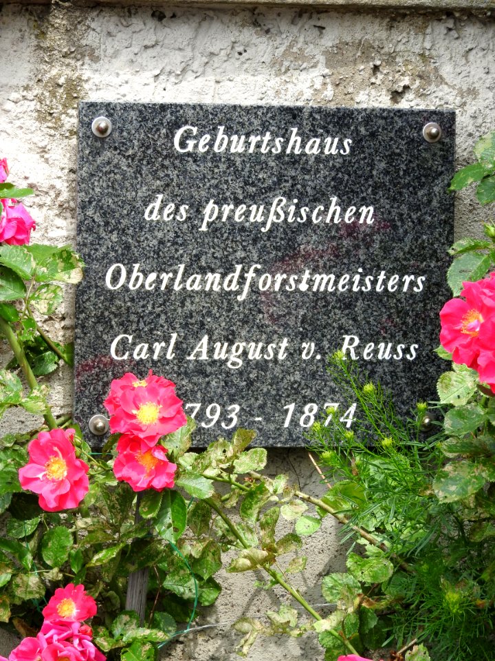 Großebersdorf, Harth-Pöllnitz 30