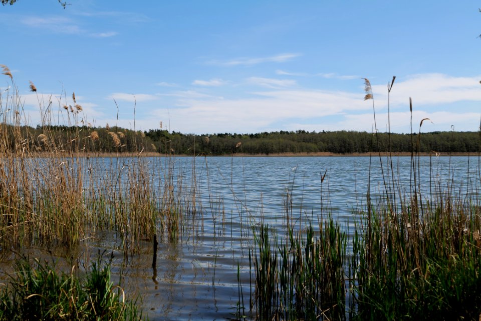 Großer Möggelinsee 2021-05-09 11