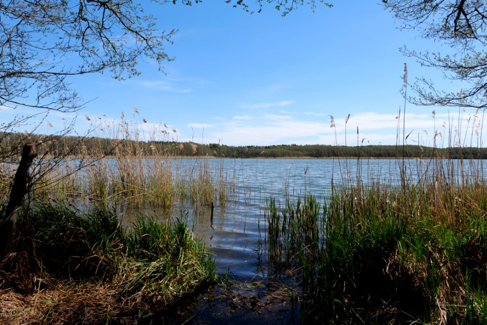 Großer Möggelinsee 2021-05-09 10