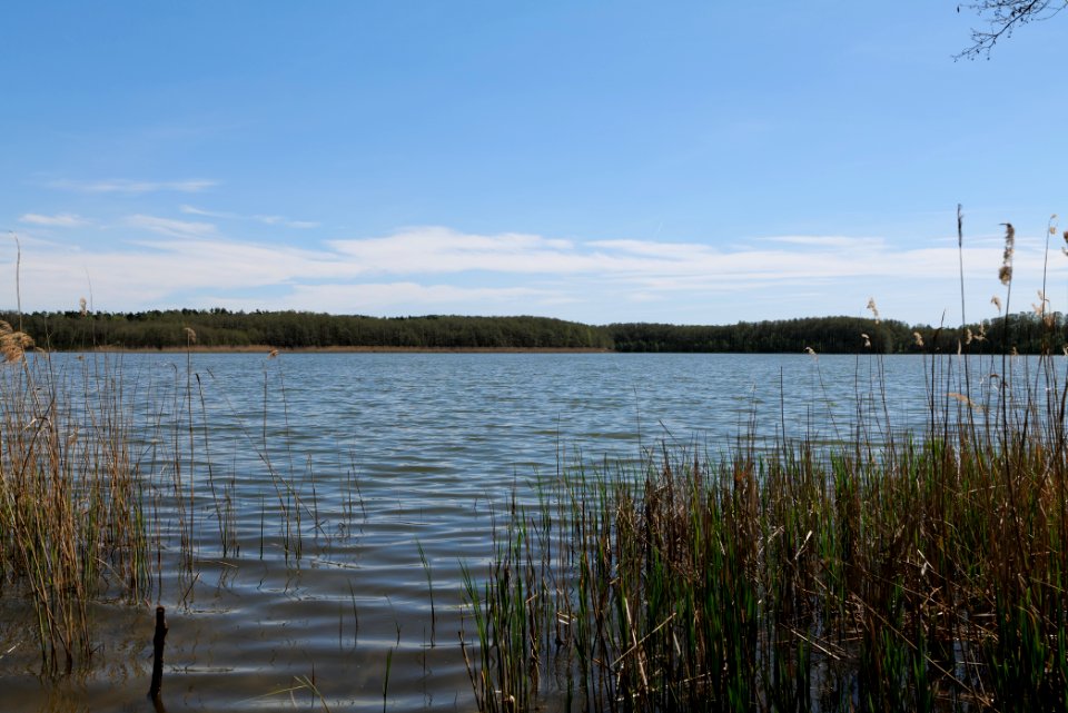 Großer Möggelinsee 2021-05-09 07