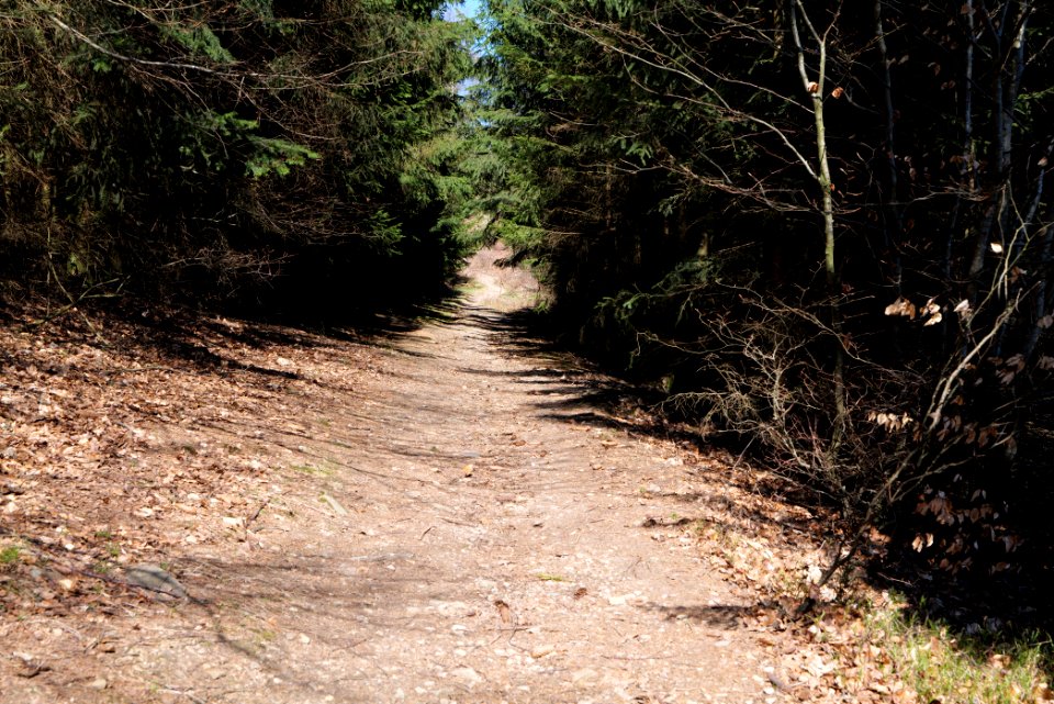 Großer Feldberg 2020-03-23 01