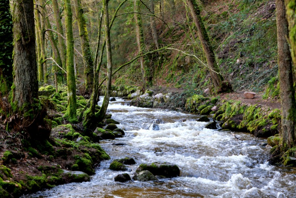 Grobbach 2020-03-13 40