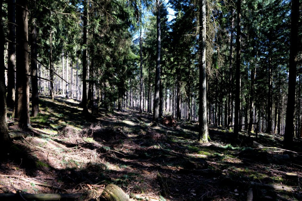 Großer Feldberg 2020-03-23 19