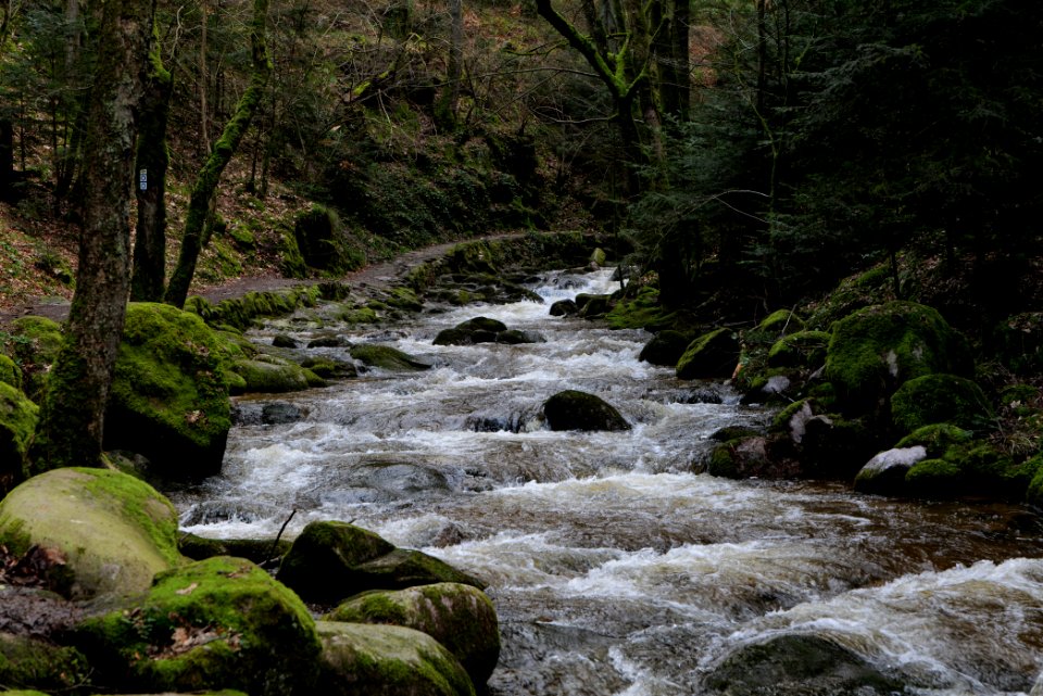 Grobbach 2020-03-13 58