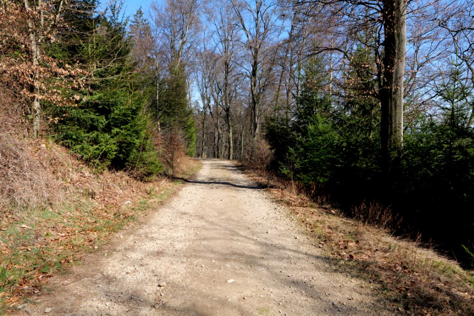 Großer Feldberg 2020-03-23 09