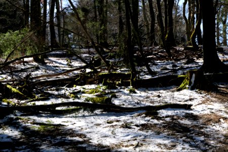 Großer Feldberg 2020-03-23 50