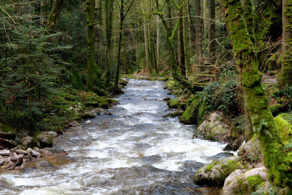 Grobbach 2020-03-13 65