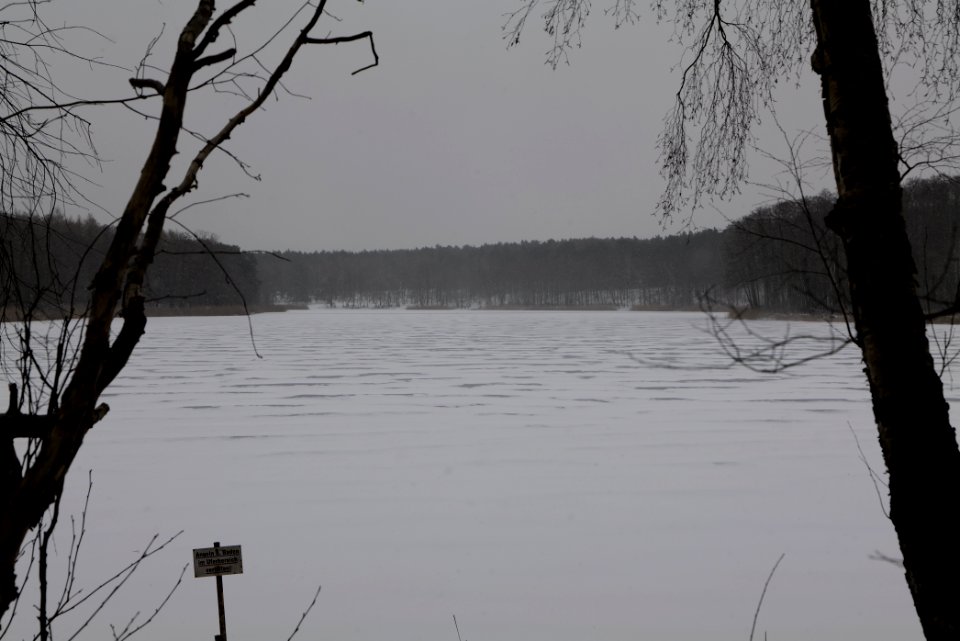 Großer Lienewitzsee with snow 2021-02-07 05