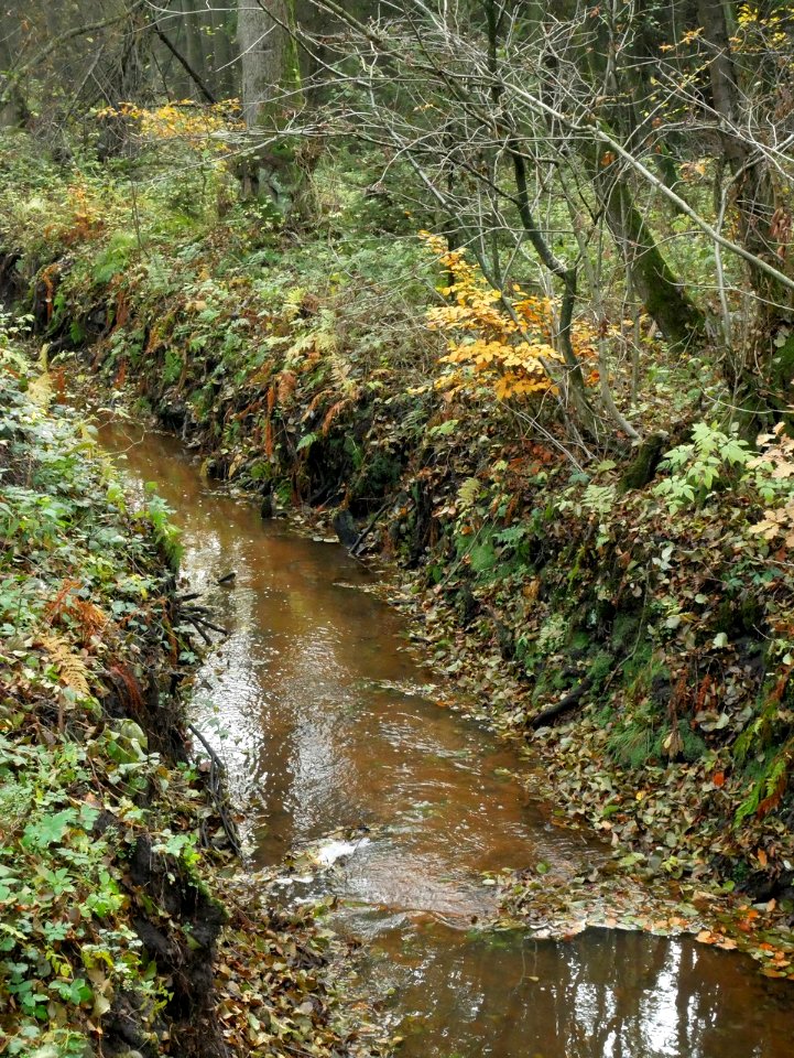 Große Aue am Ehbläcksmoor