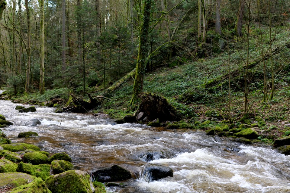 Grobbach 2020-03-13 73