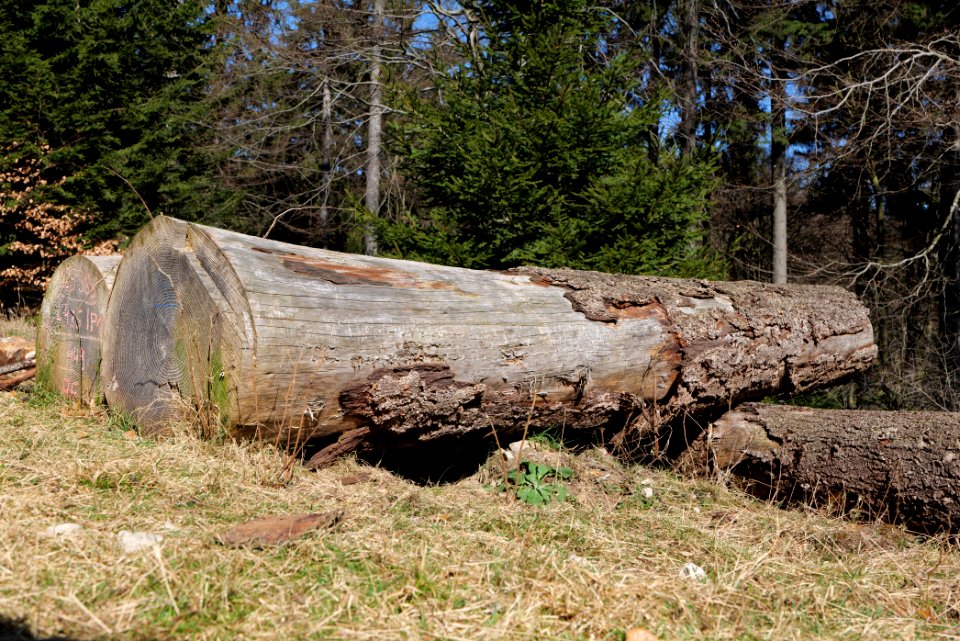 Großer Feldberg 2020-03-23 15