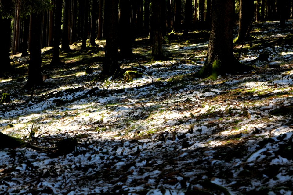 Großer Feldberg 2020-03-23 28