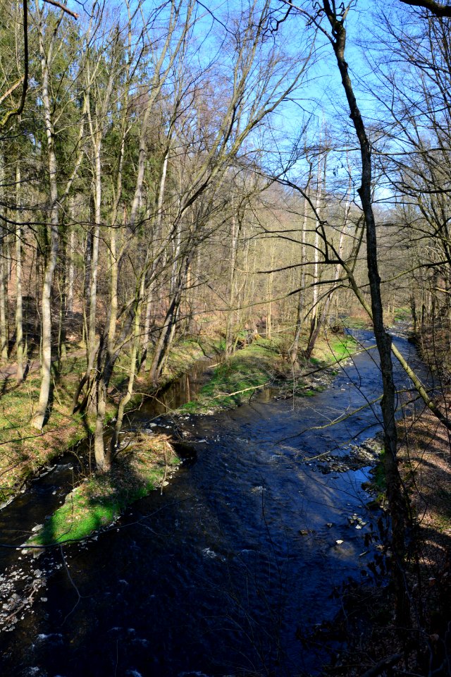 Große Röder Seifersdorfer Tal (2)