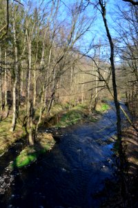 Große Röder Seifersdorfer Tal (2)