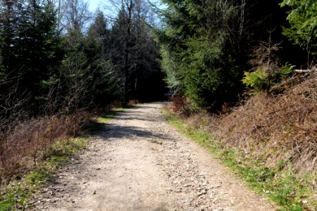 Großer Feldberg 2020-03-23 10