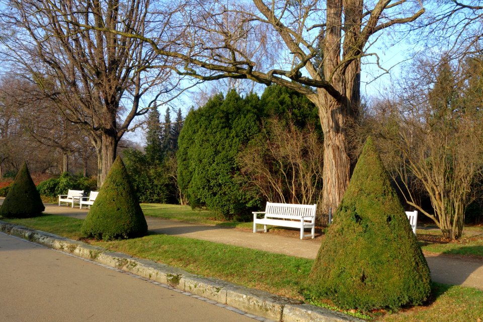 Großer Garten, Dresden, Germany - DSC09065