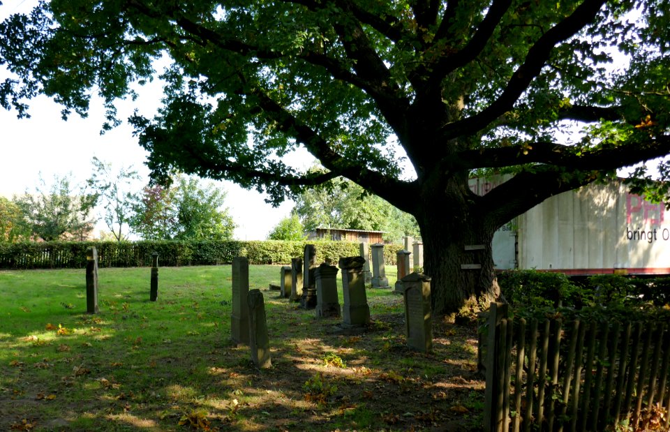 Großeneder - Jüdischer Friedhof - 1