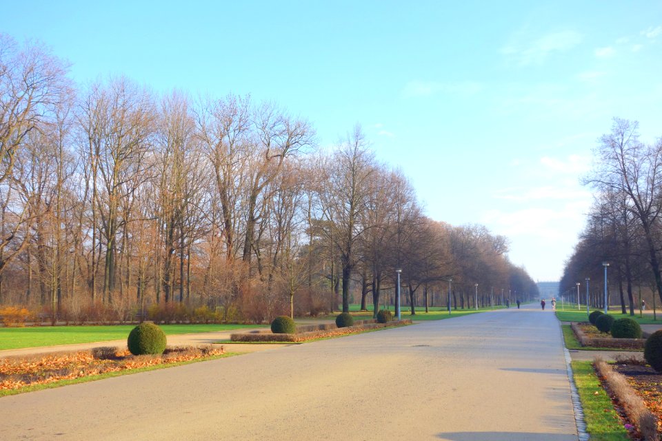 Großer Garten, Dresden, Germany - DSC09023