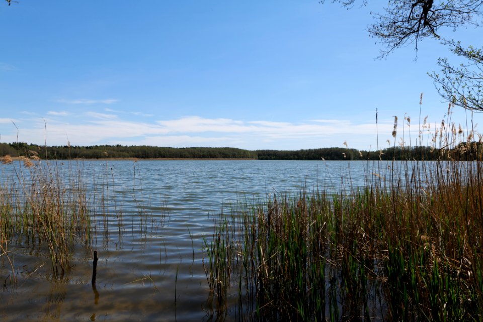 Großer Möggelinsee 2021-05-09 08
